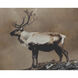 Into The Wild I 30 X 20 inch Landscape